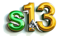 s13